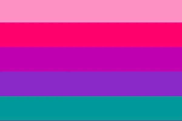 A rectangular flag with five equal-width horizontal stripes: light pink, magenta, purple, blue, teal
